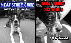 MCAT Study Guide